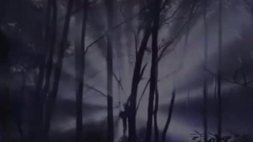 小猫钓鱼游戏龙王版有船